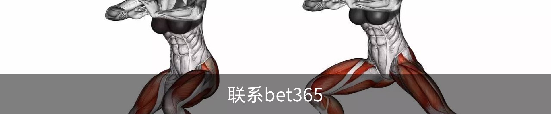 联系bet365